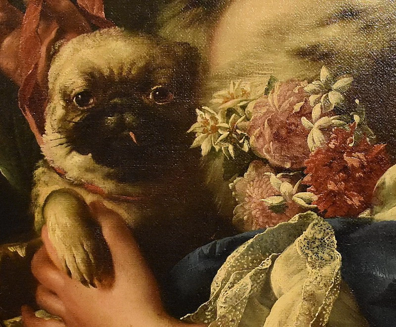 Ritratto di una dama della famiglia Bargellini - dettaglio, Museo Davia Bargellini